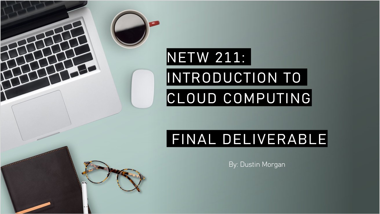 DeVry NEWT 211 Project