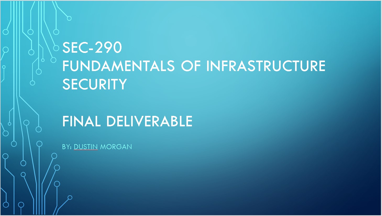 DeVry SEC 290 Project